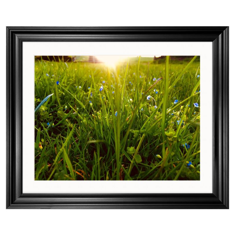 Clairière en Lumière - Impression Photo Encadrée Premium