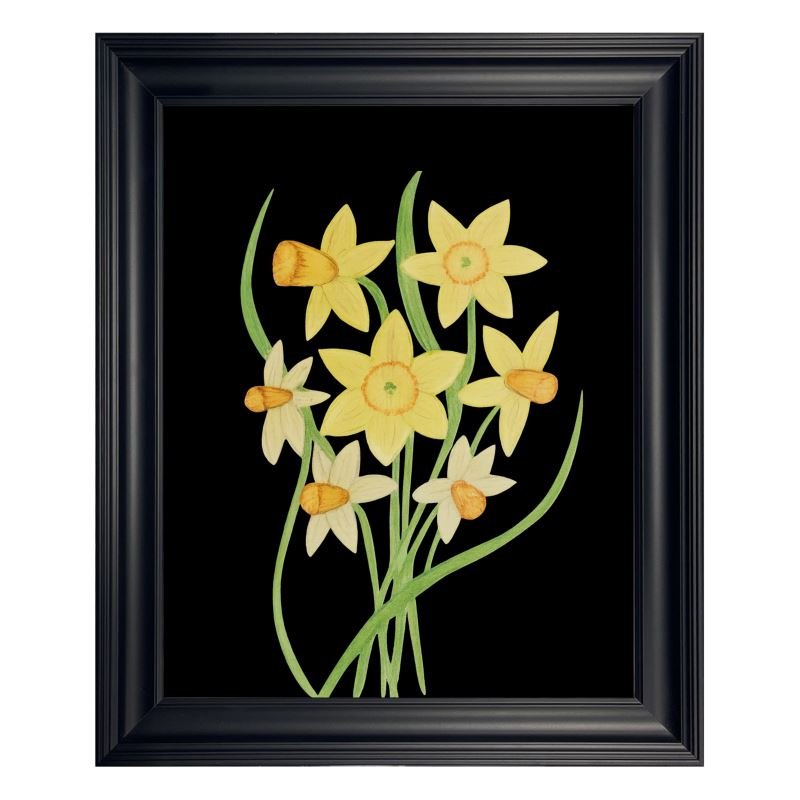 Daffodils & Jonquils: Midnight Bloom Framed Art Print (Noir Edition)