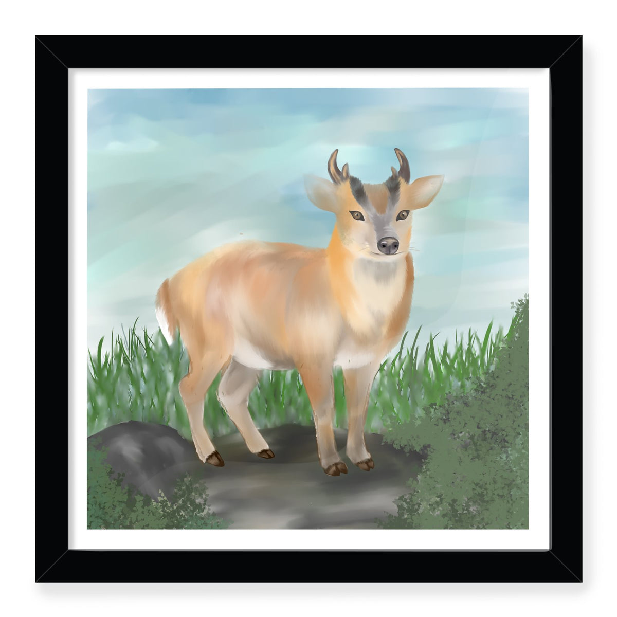 Woodland Wanderer . . . 'Muntjac in the Meadow': Framed Mini Art Print
