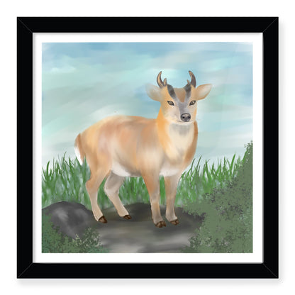 Woodland Wanderer . . . 'Muntjac in the Meadow': Framed Mini Art Print