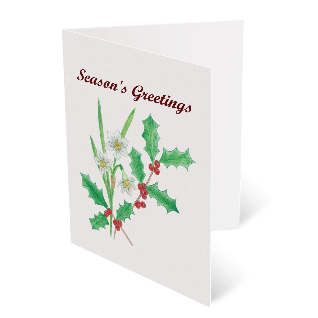 'Holly & Paperwhite Narcissus' Christmas Greetings Cards
