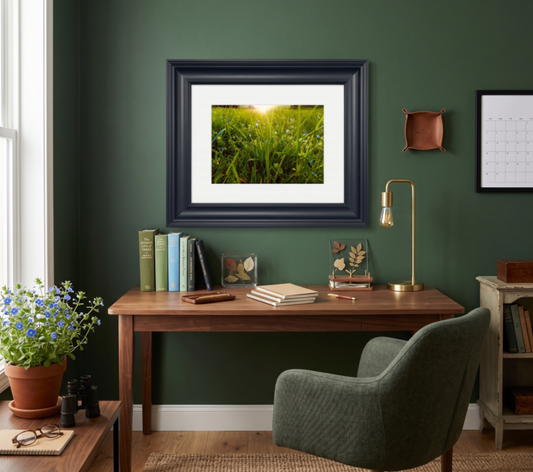 Meadowlight - Premium Framed Photographic Art Print