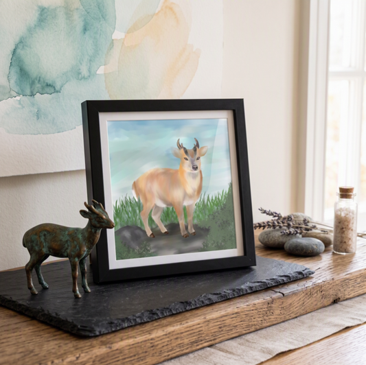 Woodland Wanderer . . . 'Muntjac in the Meadow': Framed Mini Art Print